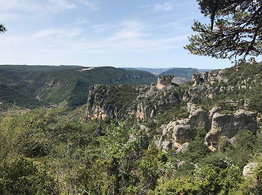 Les gorges de la Jonte